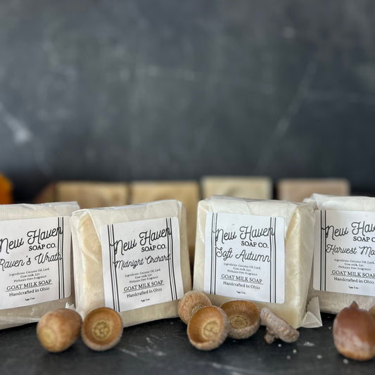 Fall Escape Bundle